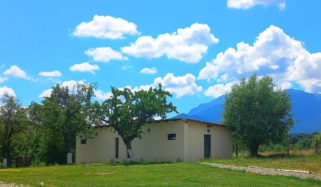 Heaven Camping Bran - 960