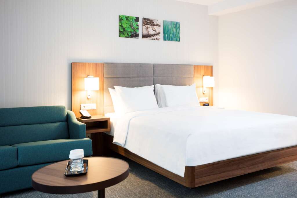 Hilton Garden Inn Bucharest Old Town - 613