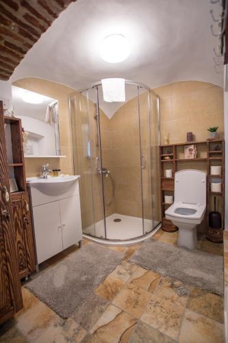 History Apartment Piata Mare - 778