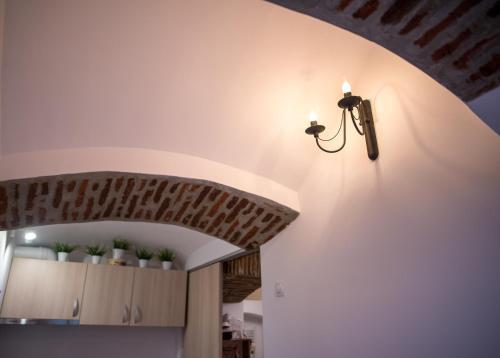 History Apartment Piata Mare - 838