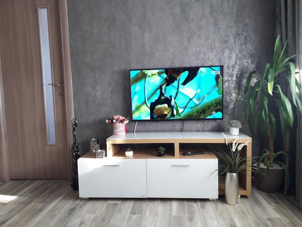 Holiday Apartment - 448