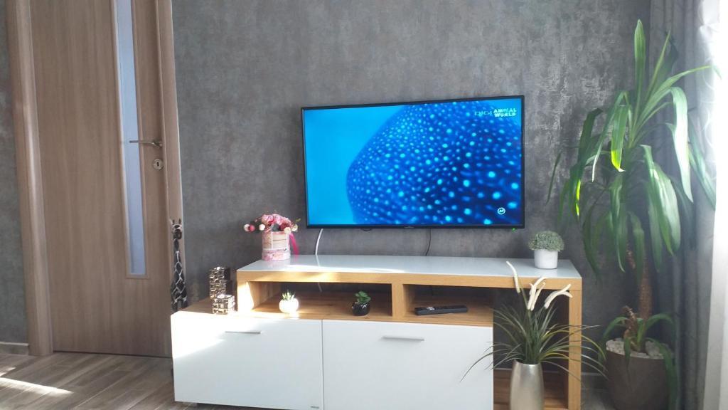 Holiday Apartment - 792