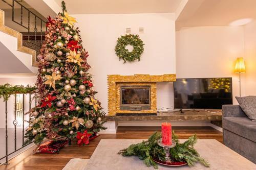 AMA Holidays Belview - 160