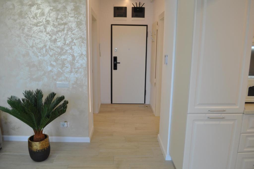 Holiday Residence by BEL AIR LUXURY APARTMENT AND STUDIO MAMAIA NORD - 962