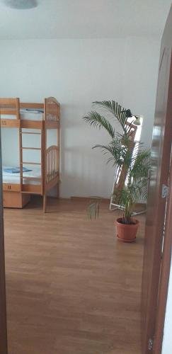 Hostel Andrei - 137
