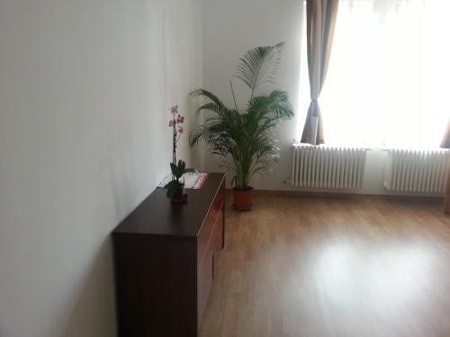 Hostel Andrei - 174