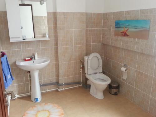 Hostel Andrei - 401