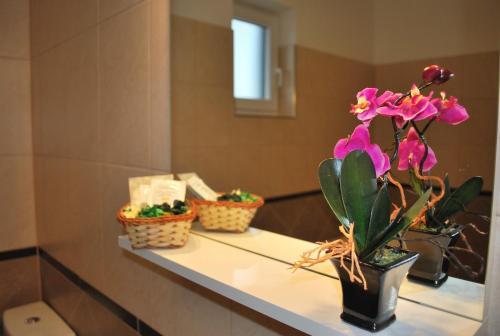 Hostel Harmonie - 539