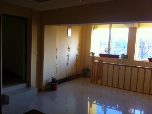 Hostel Hora - 203