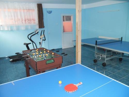 Hostel Voineasa - 596