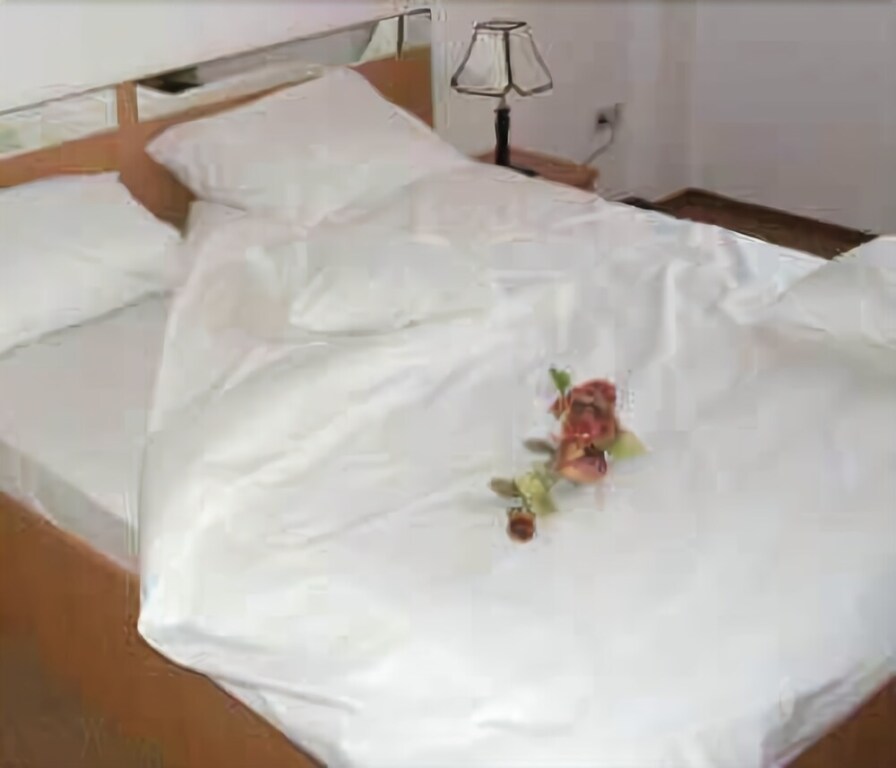 Hotel Alexandra - 490