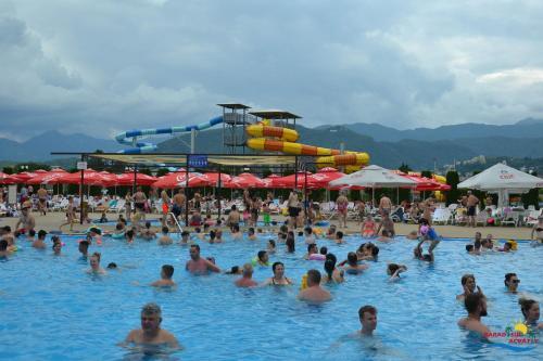 Hotel Alinalex - 979