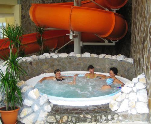 Hotel Alinalex - 895