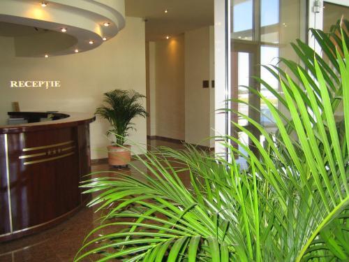 Hotel Alinalex - 691