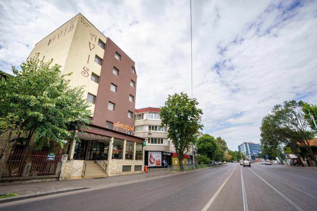 Hotel Avis - 800