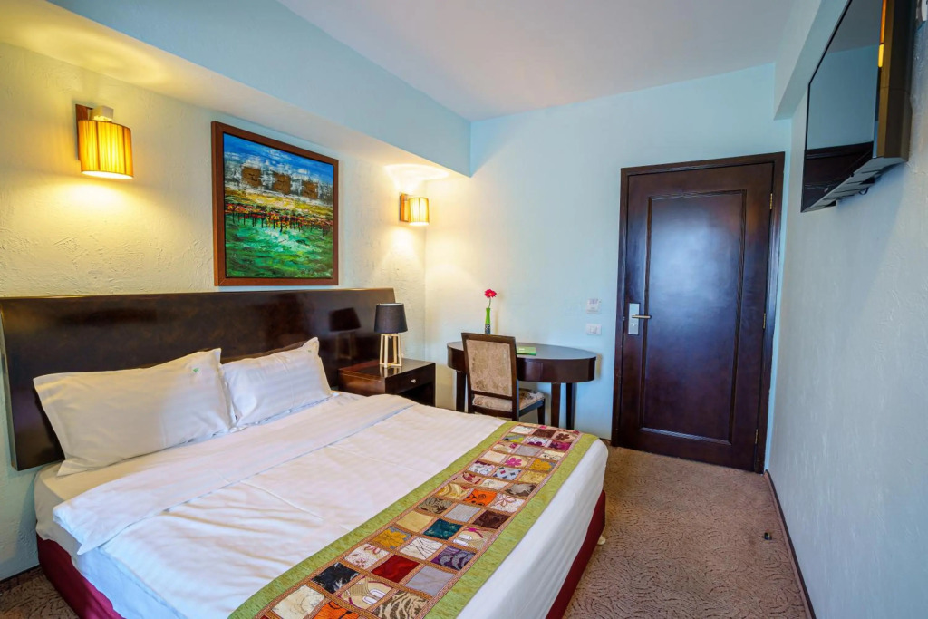 Hotel Avis - 493