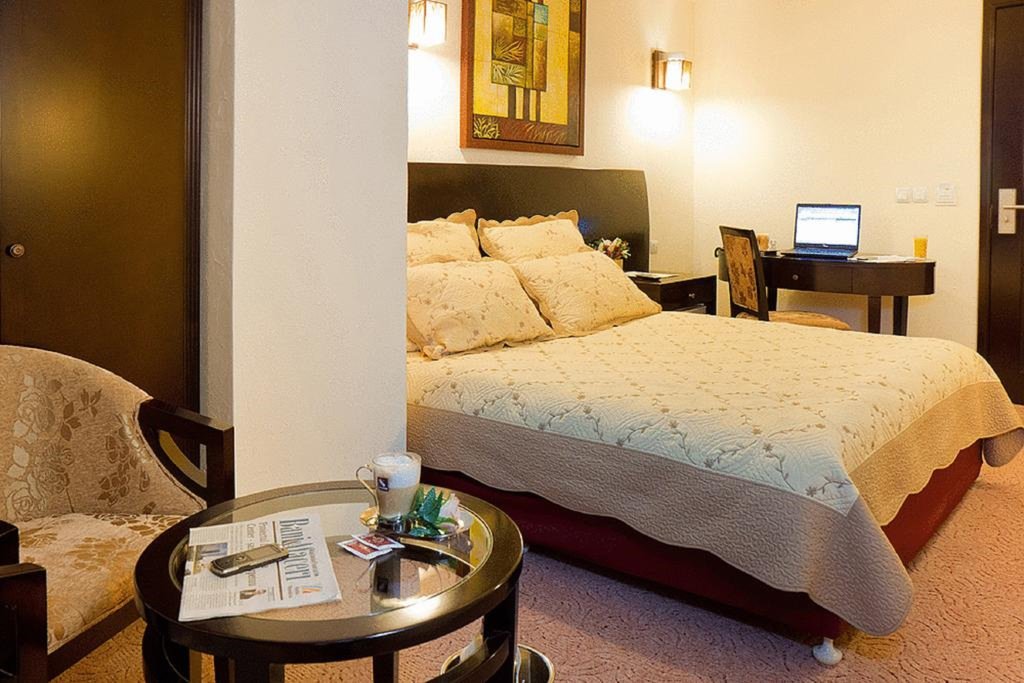 Hotel Avis - 683