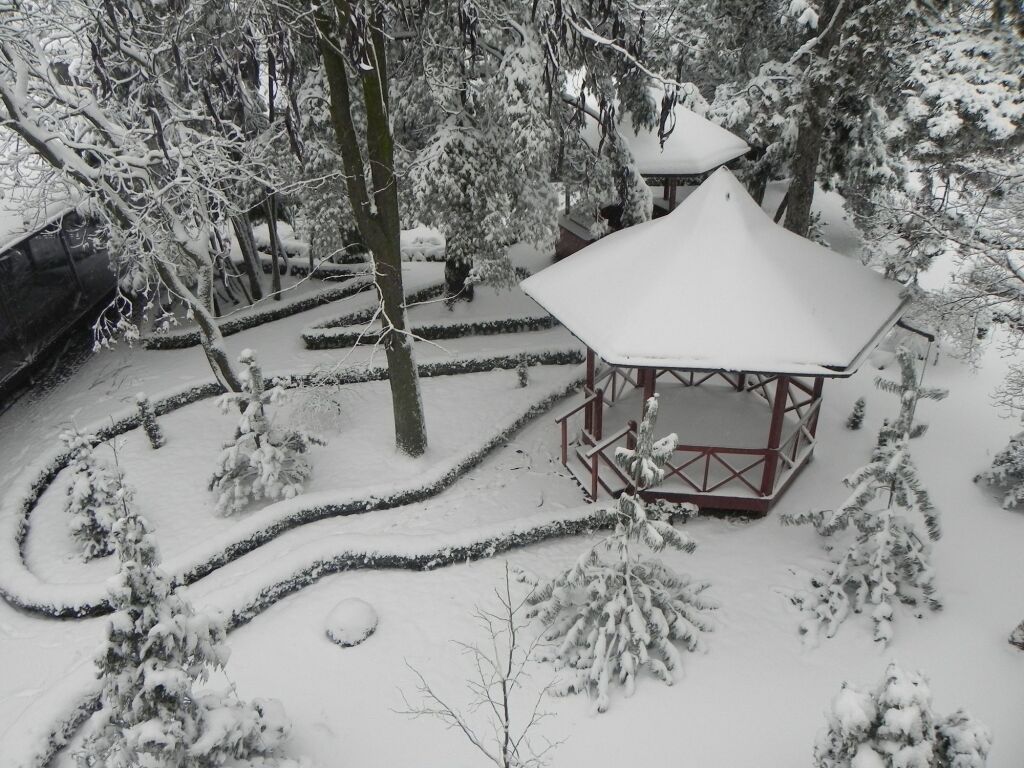 Hotel Baneasa Parc - 486