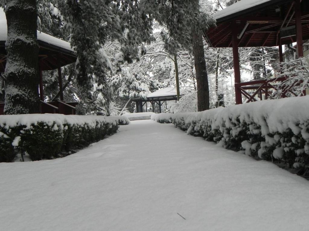 Hotel Baneasa Parc - 386