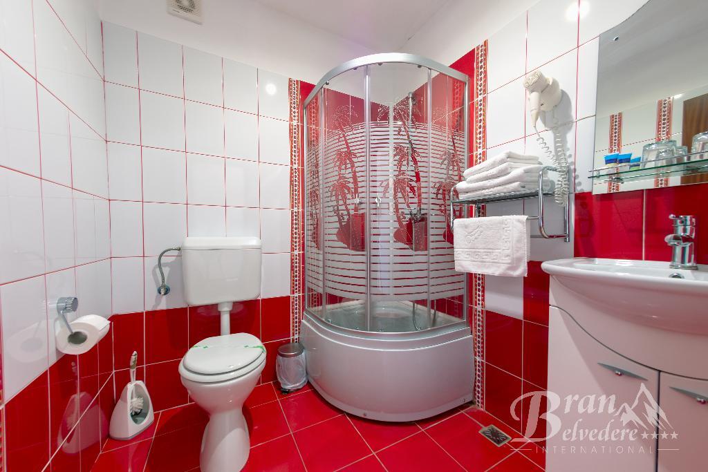 Bran Belvedere International - 691