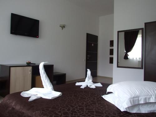 Hotel Brancoveanu - 98