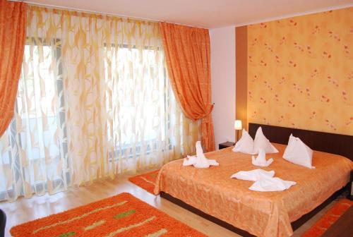 Hotel Brancoveanu - 101