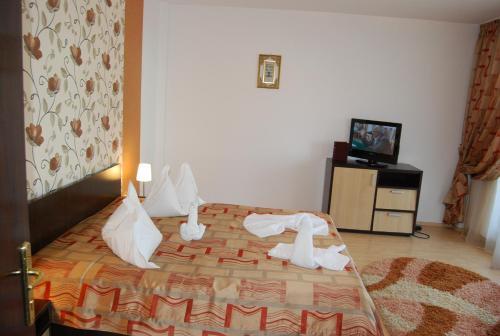 Hotel Brancoveanu - 647