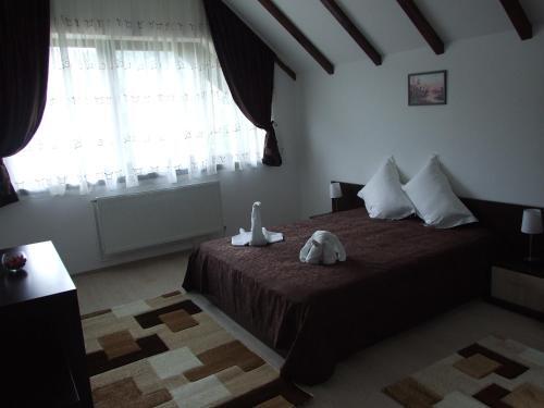 Hotel Brancoveanu - 453