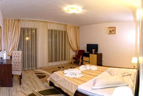 Hotel Brancoveanu - 483