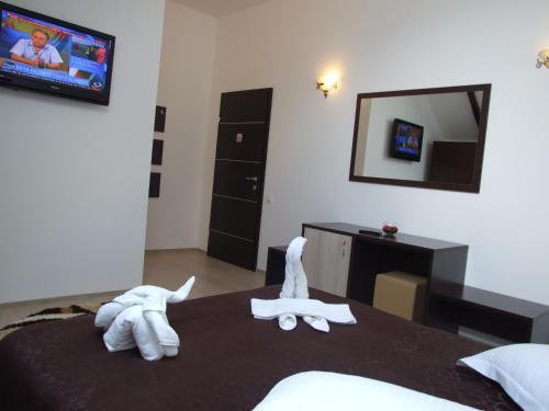 Hotel Brancoveanu - 179