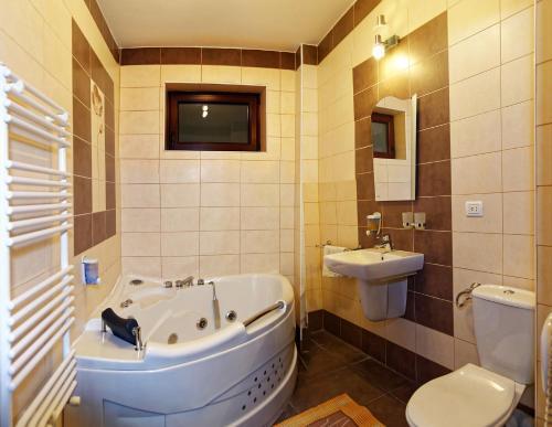 Hotel Brancoveanu - 801