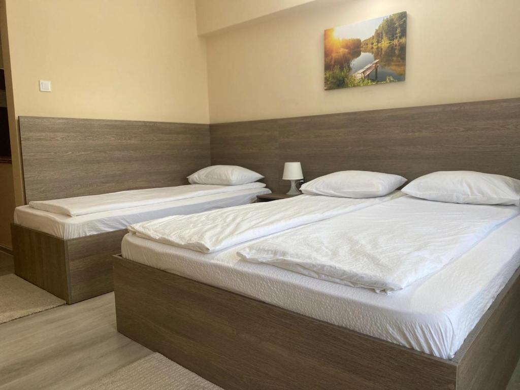 Hotel Breaza - 390