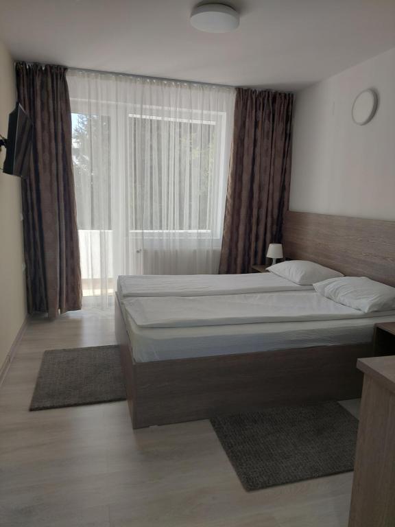 Hotel Breaza - 594