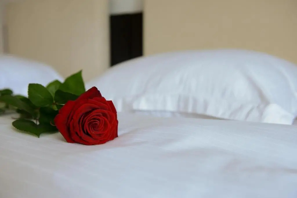 Hotel Bulevard Predeal - 174