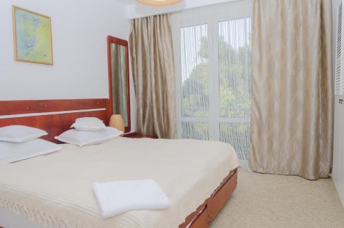 Hotel Carmen - 557