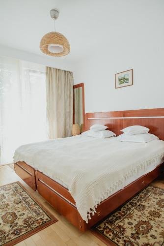 Hotel Carmen - 340