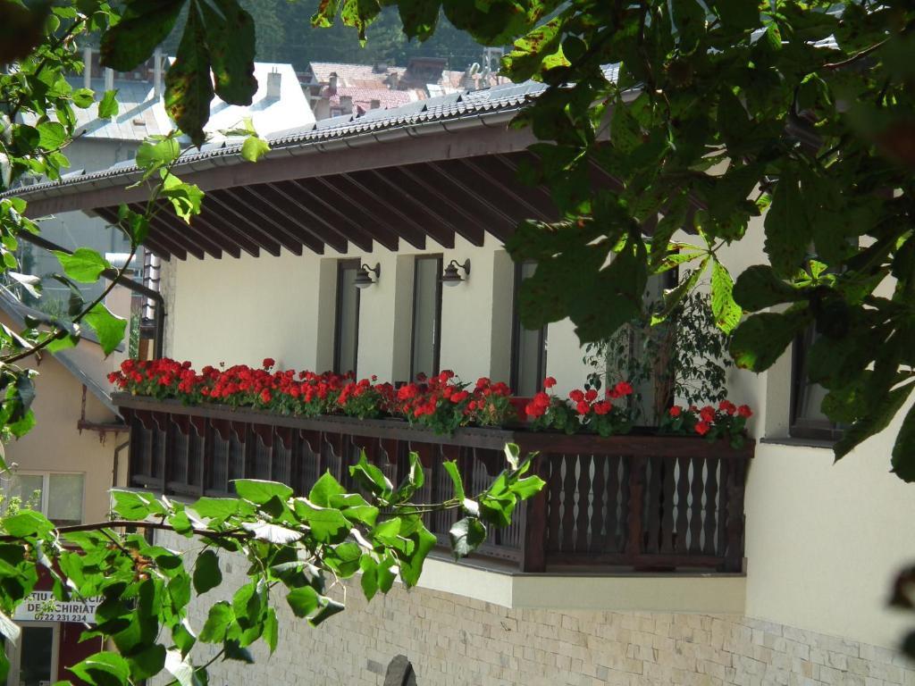 Hotel Carmen - 241