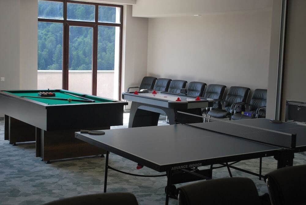 Hotel Carpat Inn - 845