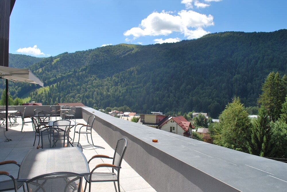 Hotel Carpat Inn - 748