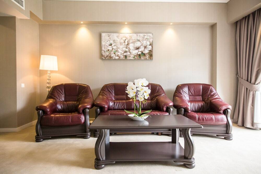 Hotel Carpat Inn - 543