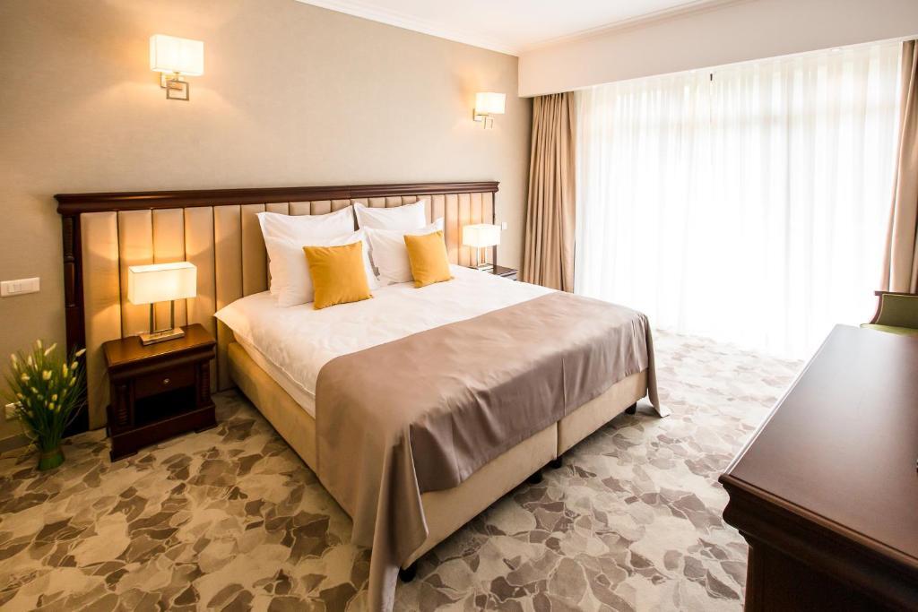 Hotel Carpat Inn - 560