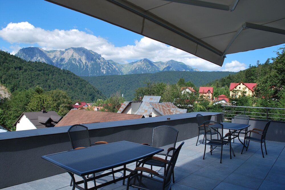 Hotel Carpat Inn - 771