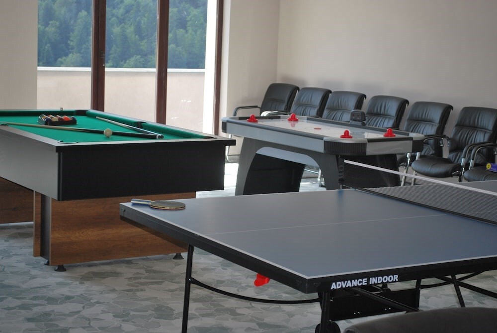 Hotel Carpat Inn - 743