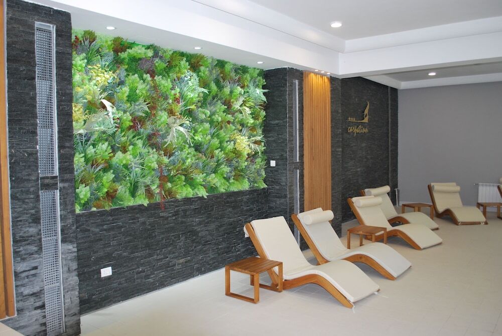Hotel Carpat Inn - 866