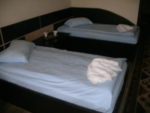 Hotel Central - 481