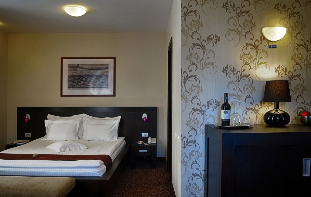 Hotel Cherica - 896