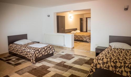 Hotel Ciobanasu - 661