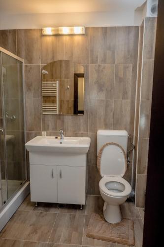 Hotel Ciobanasu - 79