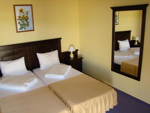 Clasic Hotel-sebes - 830
