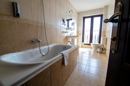 Clasic Hotel-sebes - 637
